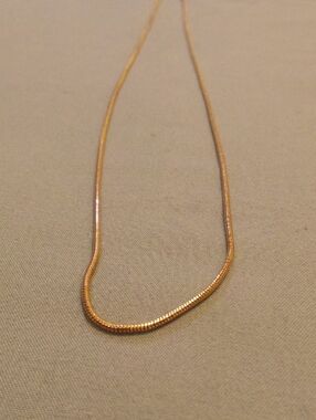 Gold-Tone WomenSnake Chain Necklace - Brand Unknown